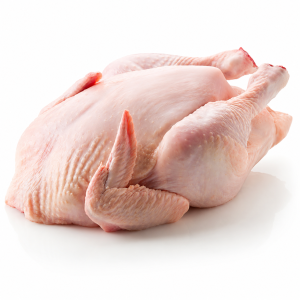AYAM POTONG SEGAR