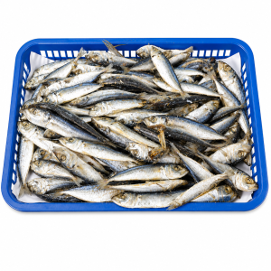 IKAN ASIN BENGGOL REBUS OVEN