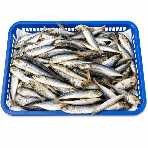 IKAN ASIN BENGGOL REBUS OVEN