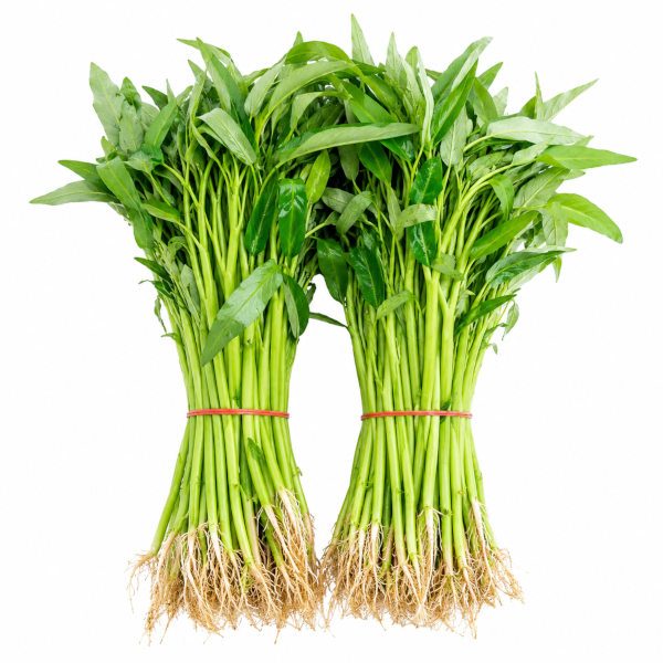 KANGKUNG