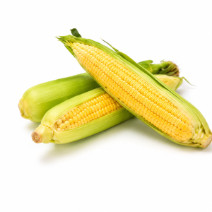 JAGUNG