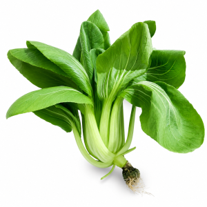 SAYUR PAKCOY