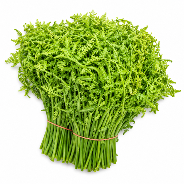 SAYUR PAKIS