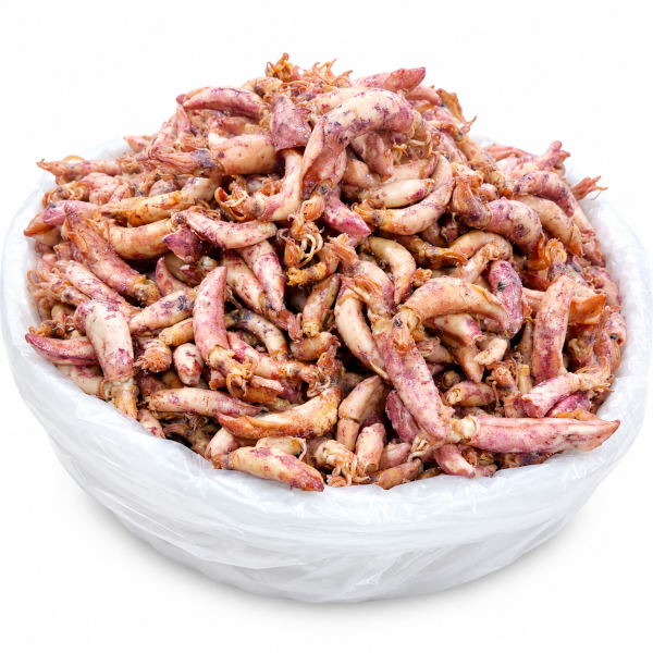 SOTONG KERING