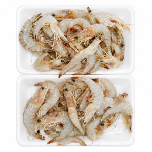 UDANG SEGAR