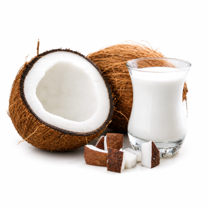 SANTAN KELAPA MURNI