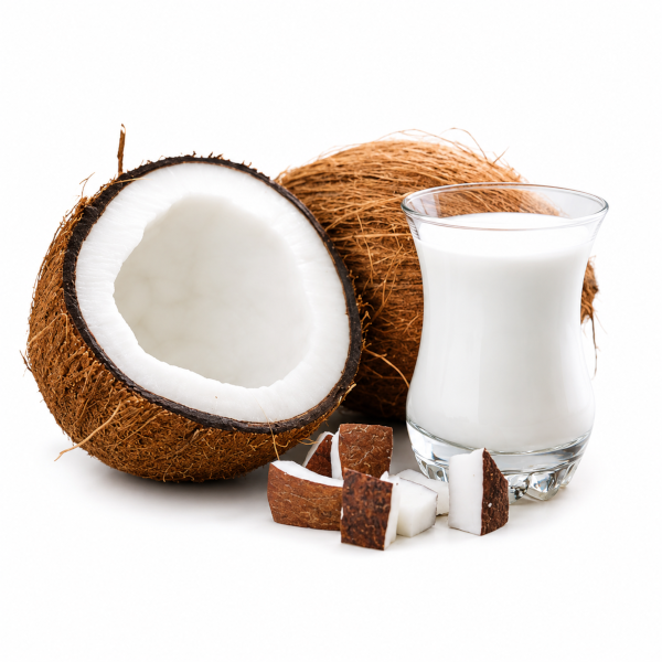 SANTAN KELAPA MURNI